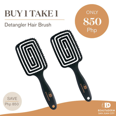 Buy 1 Take 1 Detangler Professional Hair Brush - Color Varies